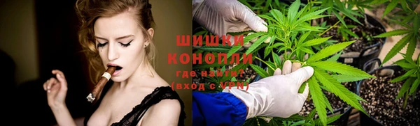 спайс Покачи