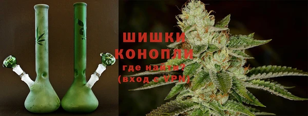 спайс Покачи