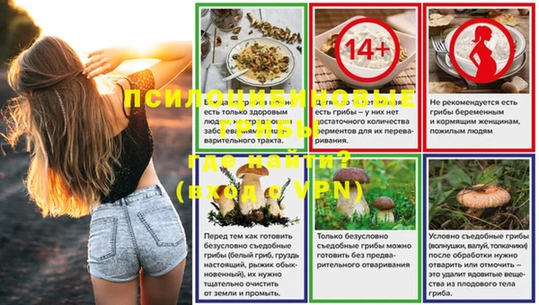 гидра Покров